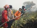 Gubernur Al Haris dan Kapolda Jambi Padamkan Api di Nipah Panjang: Pastikan Penanganan Ekstra Diperlukan