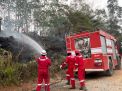 Pertamina EP Bantu Padamkan Lima Titik Kebakaran Lahan di Jambi