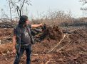HLG Londerang Kembali Terbakar, Evaluasi Proyek Rehabilitasi Dipertanyakan?