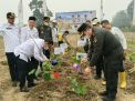 Pemprov Jambi Kembangkan Kacang Koro: Tekan Impor Kedelai Lewat Kampung Pangan Terpadu