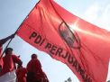Pertahakan Kursi Ketua DPRD Tanjab Barat: PDIP Diprediksi Raih 7 Kursi