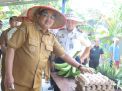 Bupati Anwar Sadat Serahkan Rumah Layak Huni Sekaligus Tinjau Panen Raya Warga Binaan