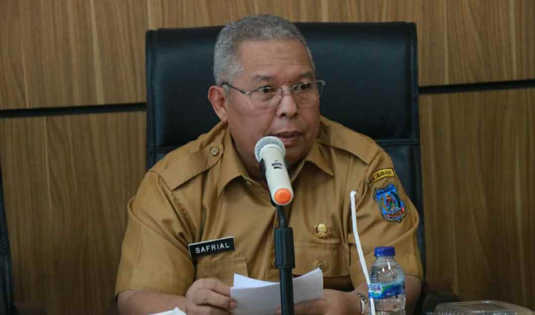 Bupati Tanjab Barat, Safrial