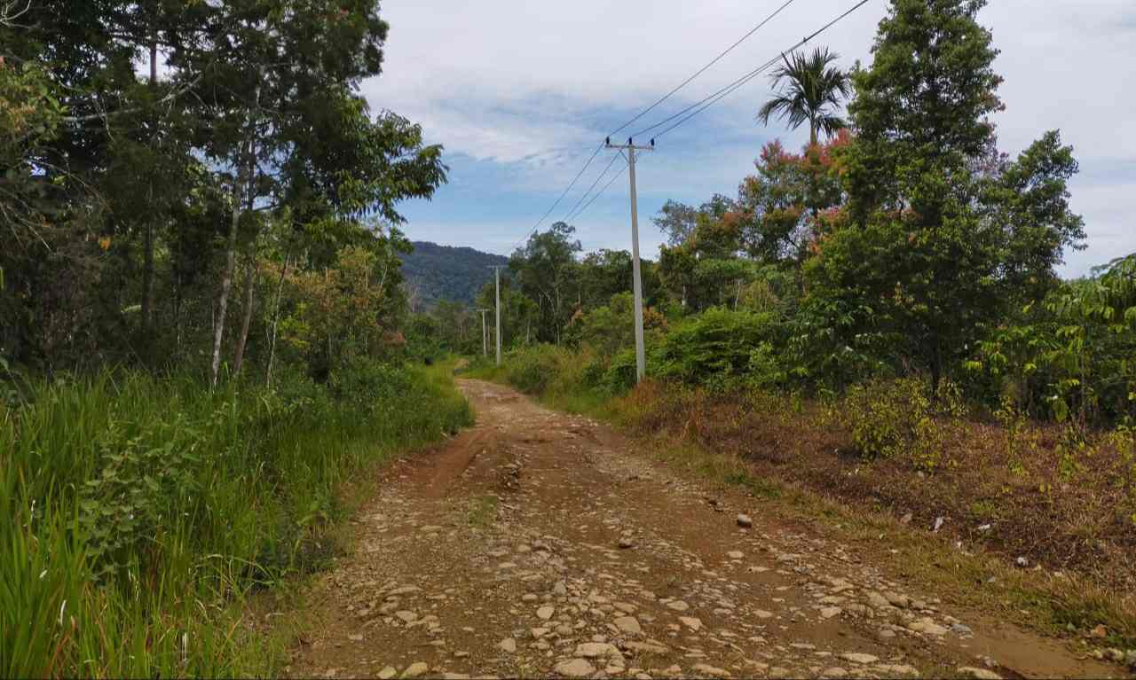 Jalan Desa Pauh-Rantau Kermas