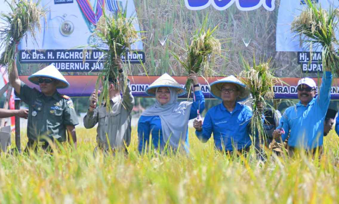 Gubernur Fachrori bersma Bupati Masnah saat  Panen perdana benih padi di Desa Pudak