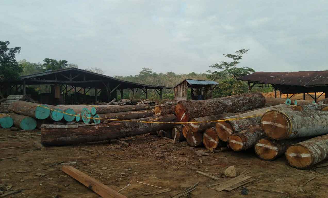 Kayu ilegal yang berhasil diamankan KLHK