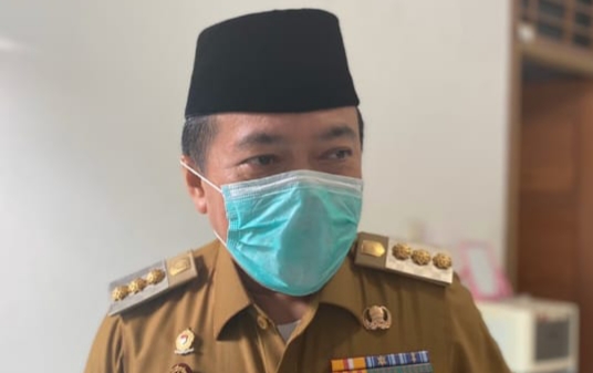 Bupati Merangin, Al Haris