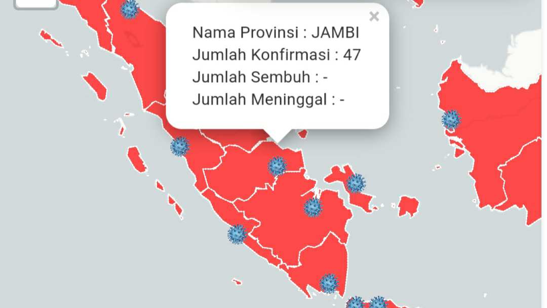 Sebaran kasus corona di Indonesia 