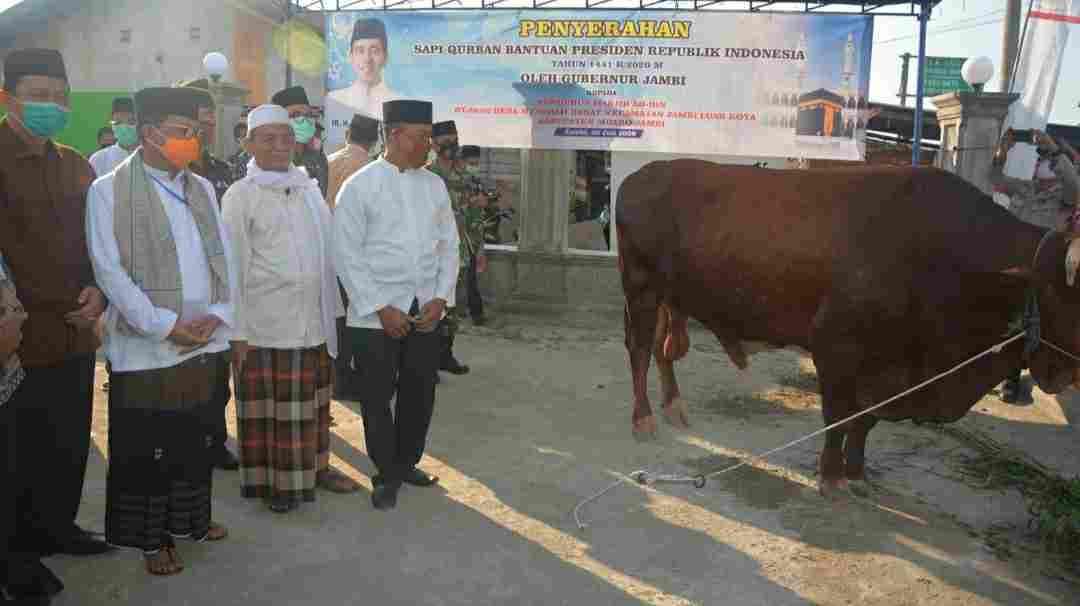 Fachrori saat serahkan bantuan sapi kurban Presiden Jokowi