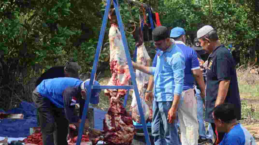 DPW PAN Provinsi Jambi saat pemotongan hewan kurban