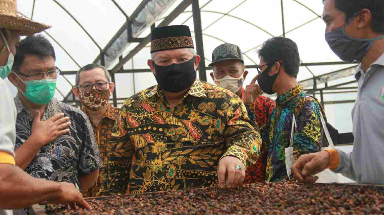 Bupati Safrial saat resmikan gedung kopi liberika