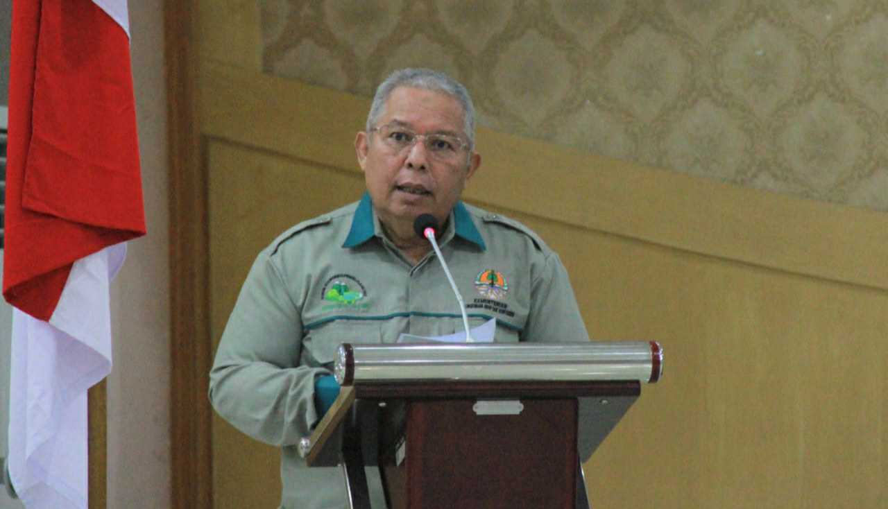 Bupati Tanjab Barat, Safrial