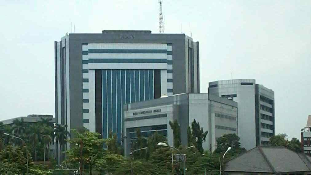 Badan Kepegawaian Negara (BKN)