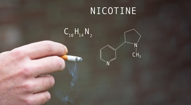 Nikotin (ilustrasi)