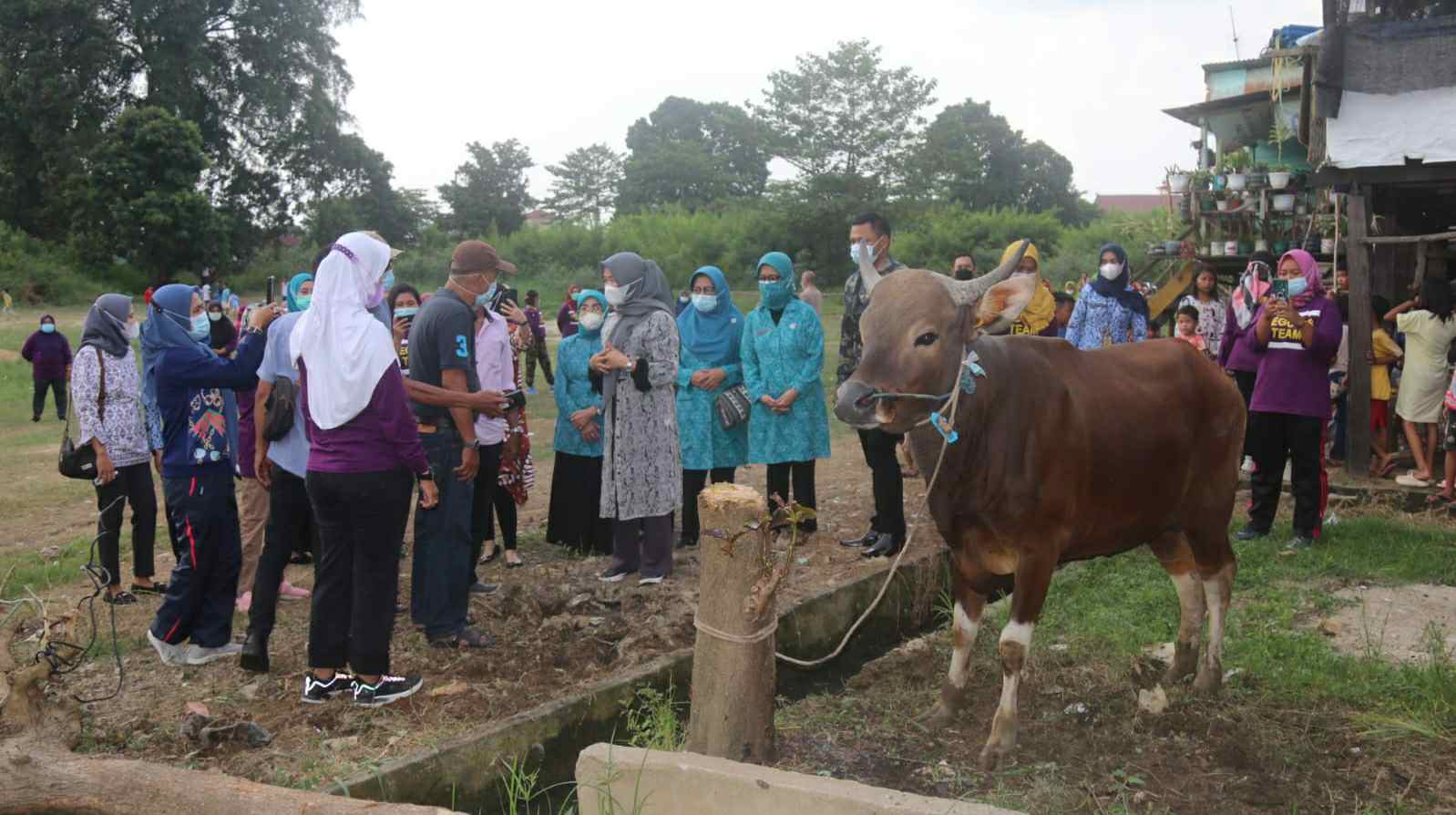 Hesti Haris saat serahkan bantuan hewan qurban ke warga Legok, Kota Jambi 