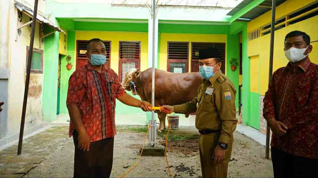 Al Haris saat serahkan bantuan hewan kurban