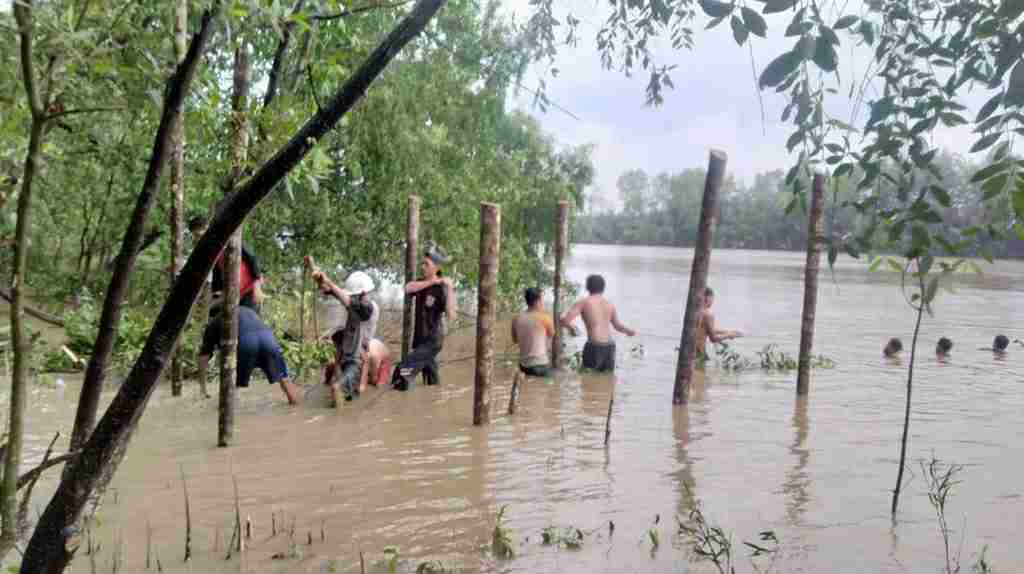 Wisata Mangrove Kuala Lagan, Tanjab Timur, Jambi