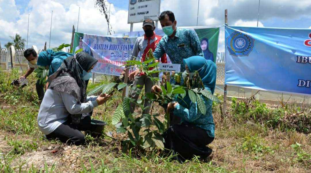 Penanaman pohon yang dilakukan TP PKK Provinsi Jambi di Tanjab Barat