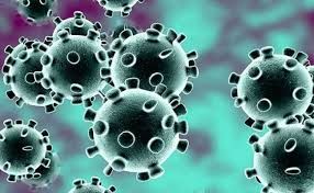 Virus Corona/ilustrasi 