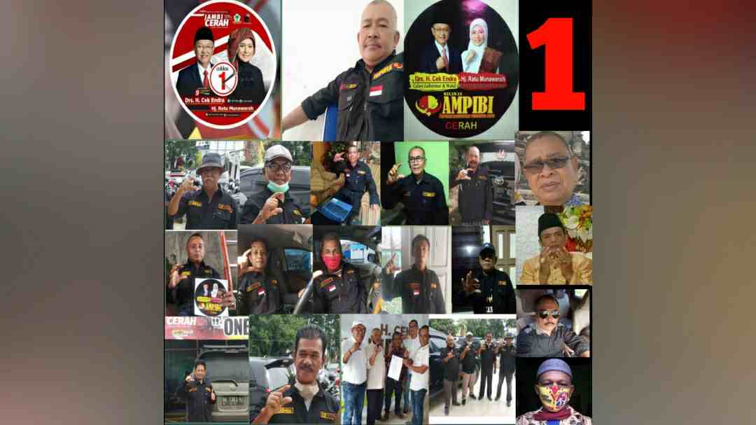 Tim Amphibi Cerah