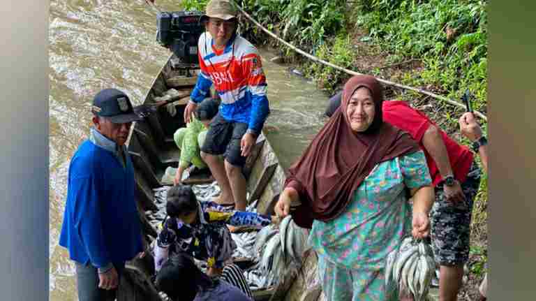 Panen ikan raya di Kecamatan Bathin Penambang
