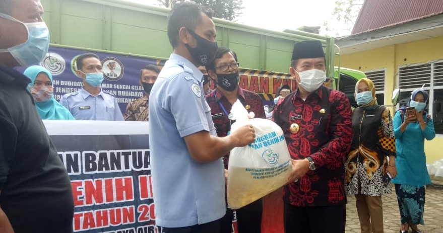 Al Haris saat salurkan bantuan benih ikan
