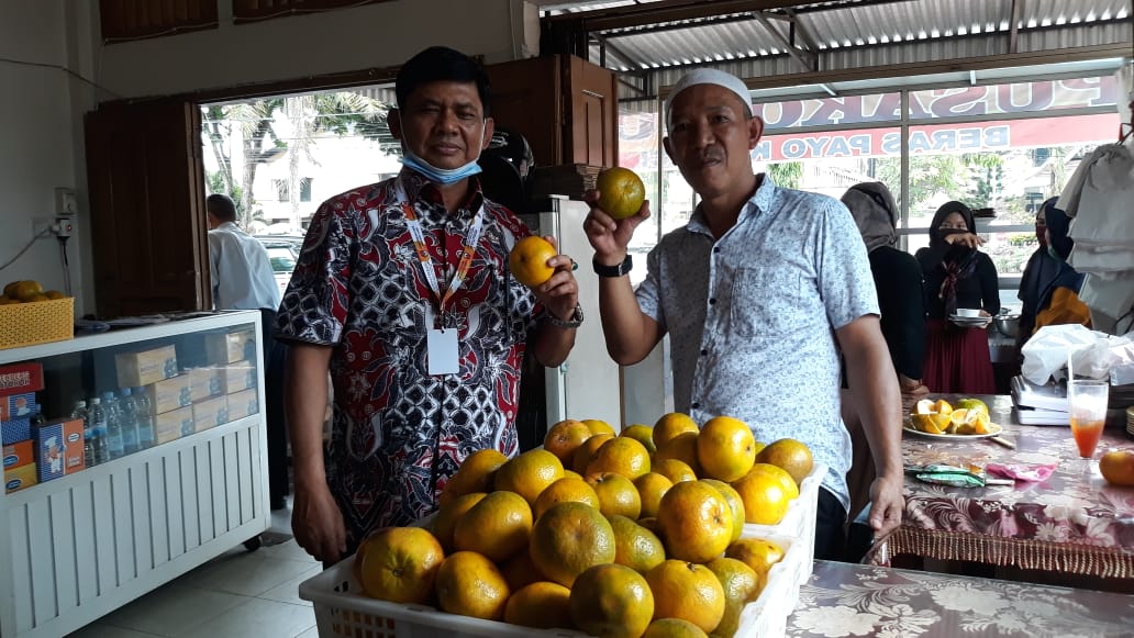 Cawagub Jambi, Syafril Nursa