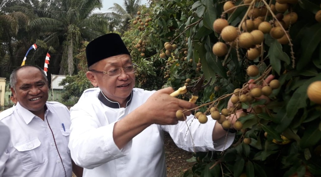 Cek Endra