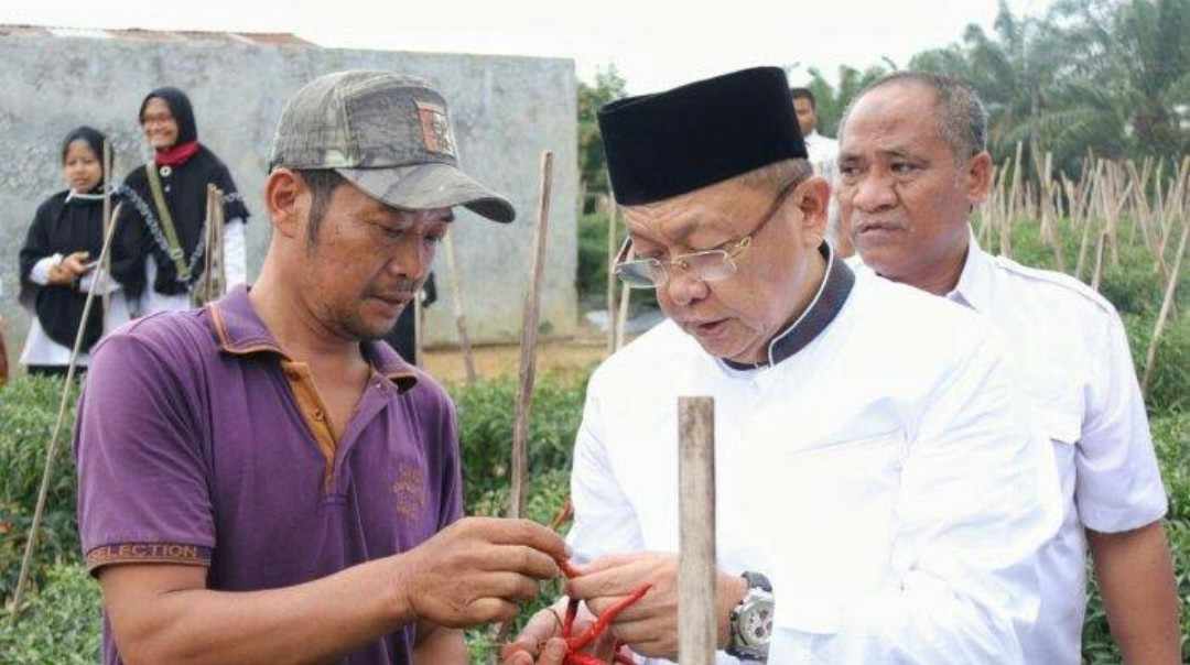 Cek Endra saat blusukan di kebun cabe ketika menjabat sebagai Bupati Sarolangun