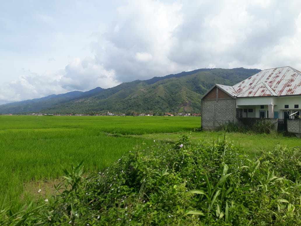 Salah satu areal pertanian di Kerinci