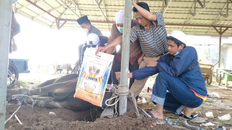 Pengelola Pasar Angso Duo Baru Jambi saat penyembelihan hewan qurban 