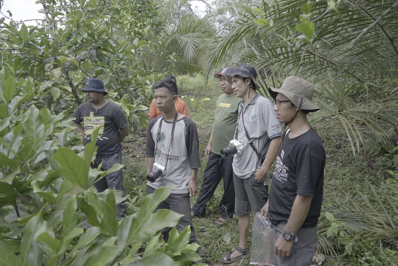 Yayasan CAPPA Ekologi di perkebunan Kopi Telisak di di Dusun Trans 3 Suku Anak Dalam (SAD)-Sepintun