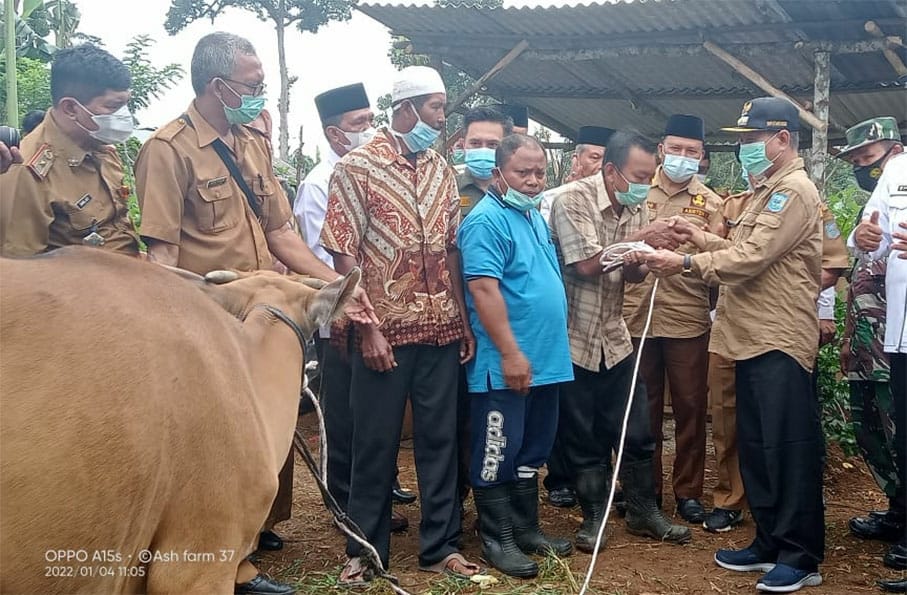 Bupati Mashuri saat serahkan bibit sapi ke Kelompok Tani Sido Maju