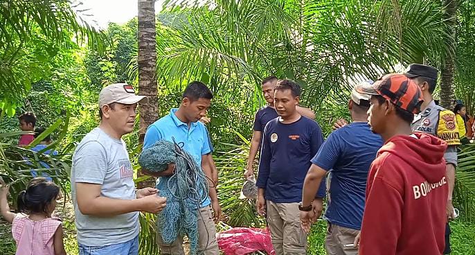 Evakuasi buaya di Desa Kemingking Dalam oleh BKSDA Jambi, kepolisian dan masyarakat