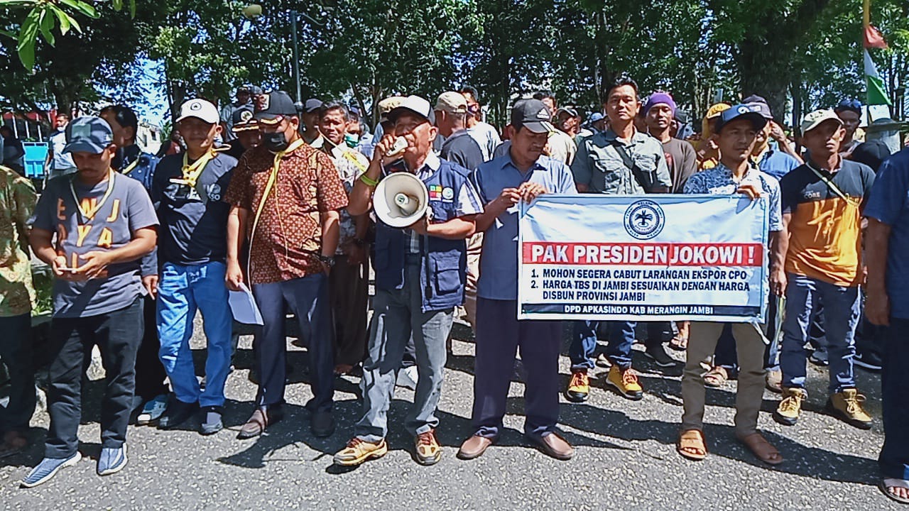 Ratusan petani sawit saat demo di Kantor Bupati Merangin
