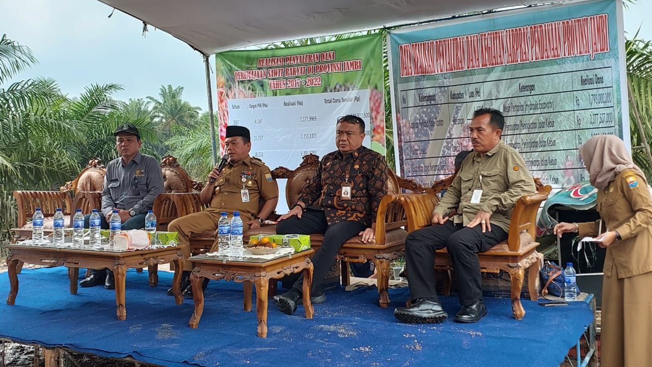 Gubernur Al Haris saat mendampingi tim penilai Kementan, Selasa (14/3)