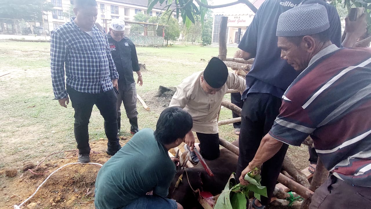Sat Brimob Polda Jambi sembelih 22 hewan kurban untuk masyarakat