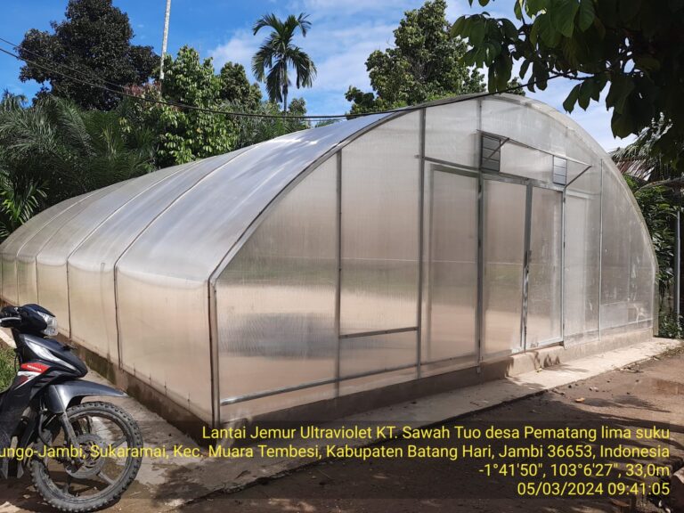 Bantuan lantai jemur ultraviolet Dumisake Ketahanan Pangan