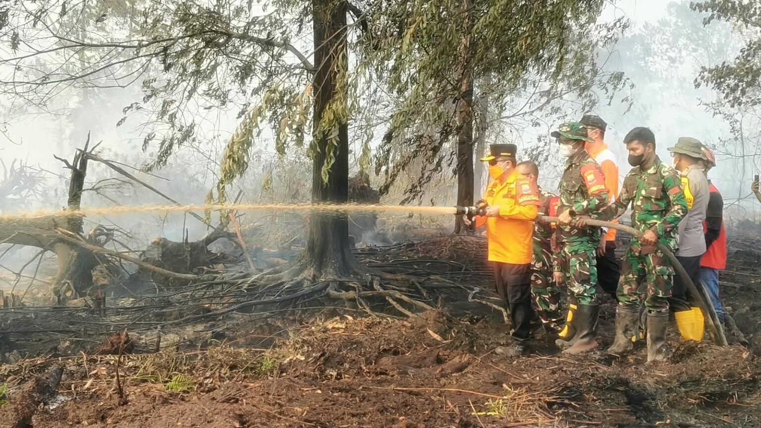 Gubernur Al Haris tinjau Karhutla Londerang