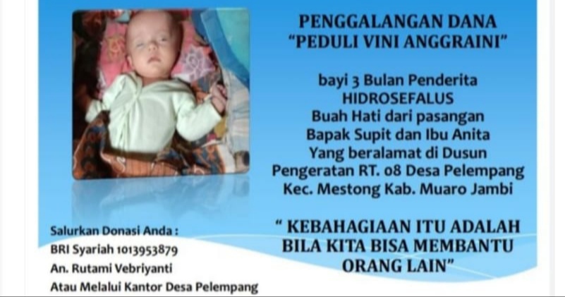 Bantuan Penyelamatan Vini Anggraini 