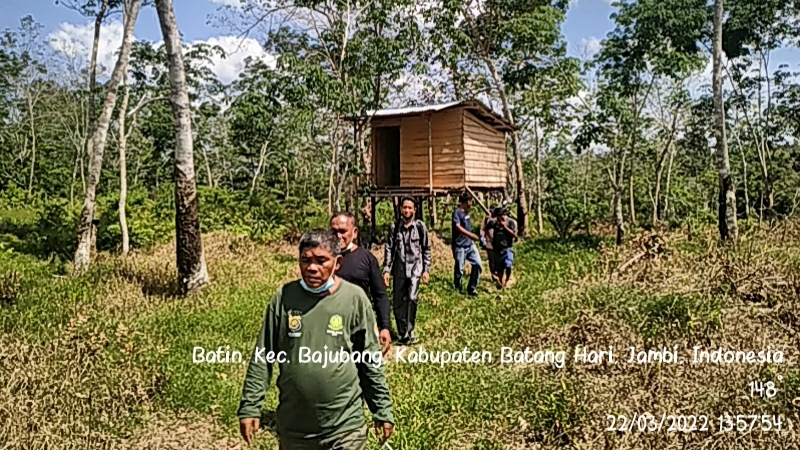 Tim BKSDA Jambi saat cek dugaan penemuan jejak harimau di Desa Batin, Bajubang, Batanghari