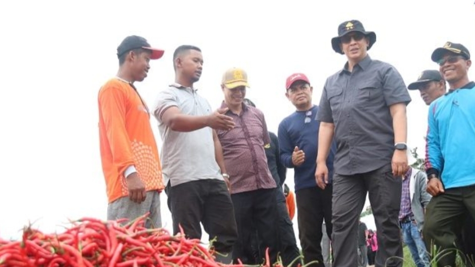 Kapolda Jambi saat tinjau pertanian cabai di Kumpeh Muaro Jambi
