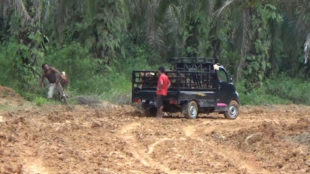 Warga lalui jalan baru TMMD ke 115 meski habis diguyur hujan