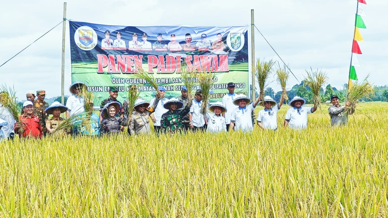 Al Haris dan Mashuri tanam dan panen padi sawah bersama di Empelu Bungo, Kamis (30/5)