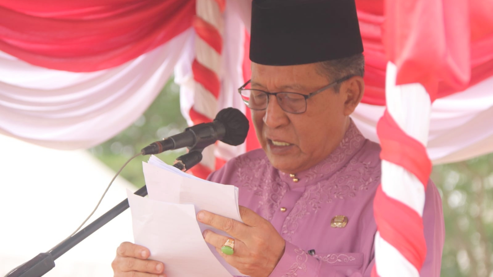 Wagub Jambi, Abdullah Sani