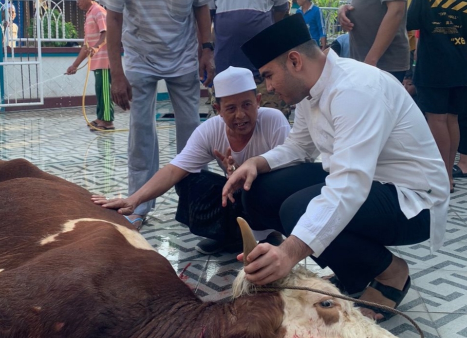 Rendra Usman kurban Simental buat disembelih warga Tanjab Barat