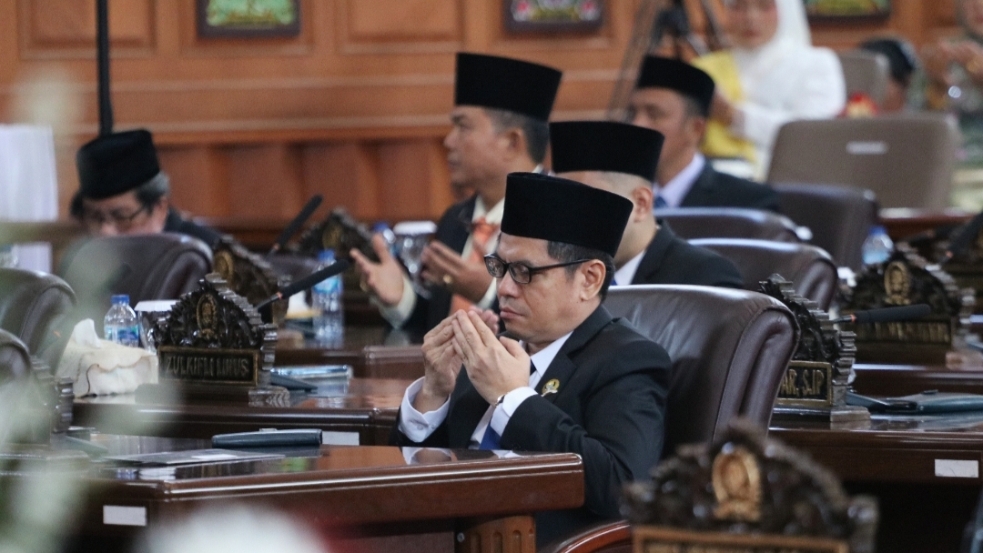 Anggota DPRD Provinsi Jambi Fraksi PAN, Ansori