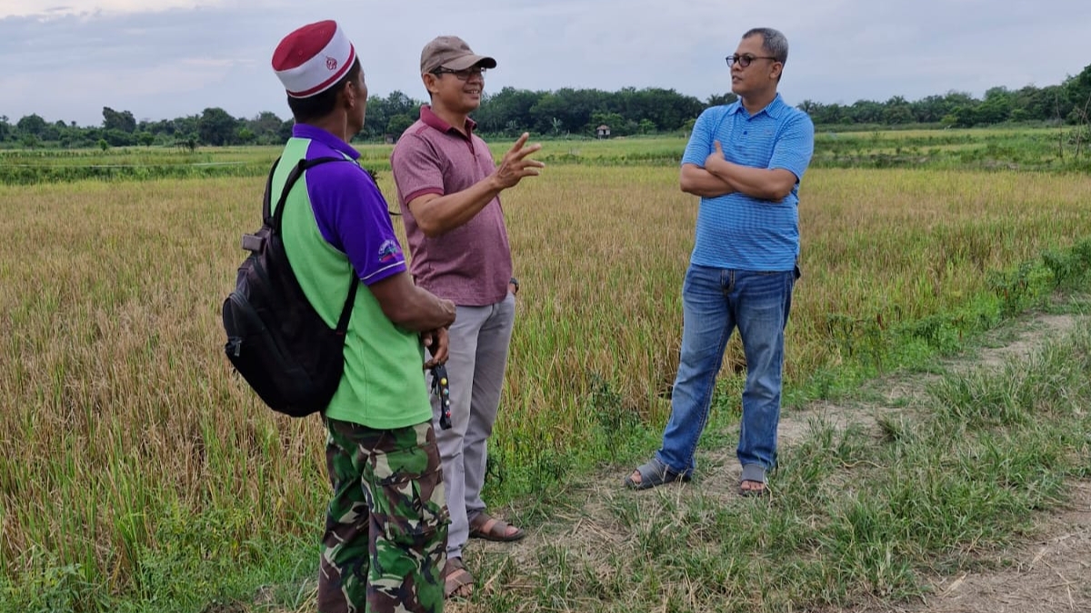 M. Nasir meninjau lokasi persawahan di Olak Kemang