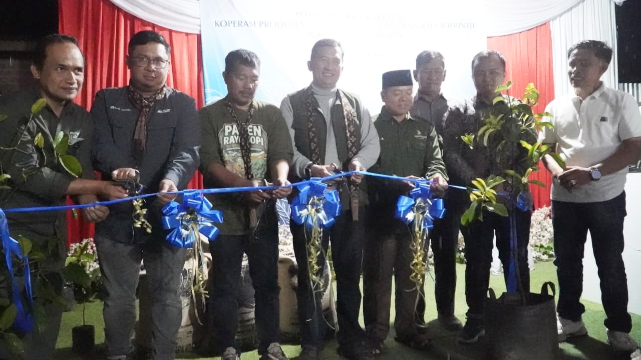 20 ton kopi fine robusta asal Kerinci diekspor ke Tiongkok