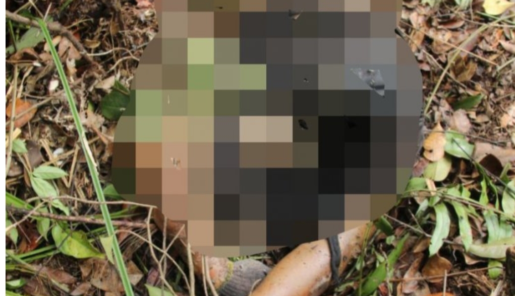 Seorang warga yang tewas diterkam harimau di Kumpeh Ilir